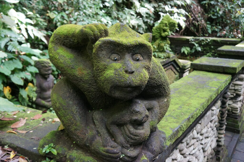 monkey forest ubud à Bali