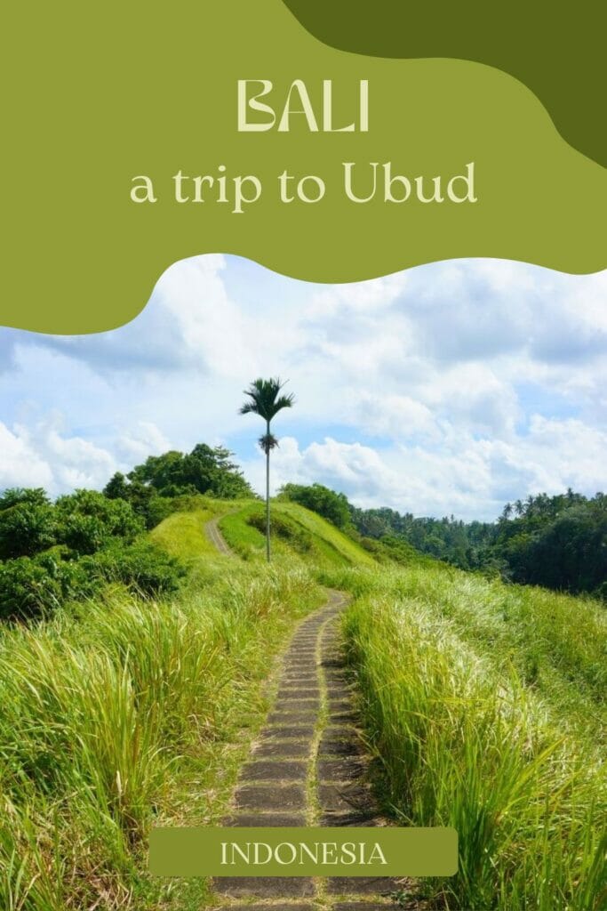 visit ubud in Bali