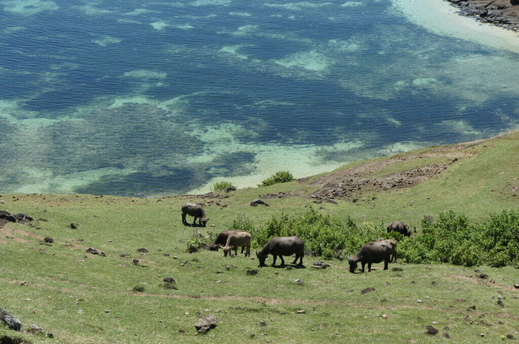 Bukit merese à côté de la plage Tajung Aan à Kuta