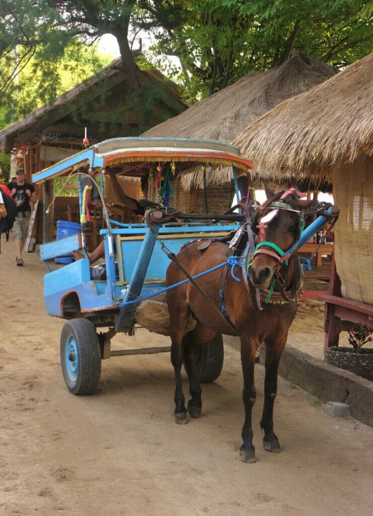 un cidomo sur les îles Gili