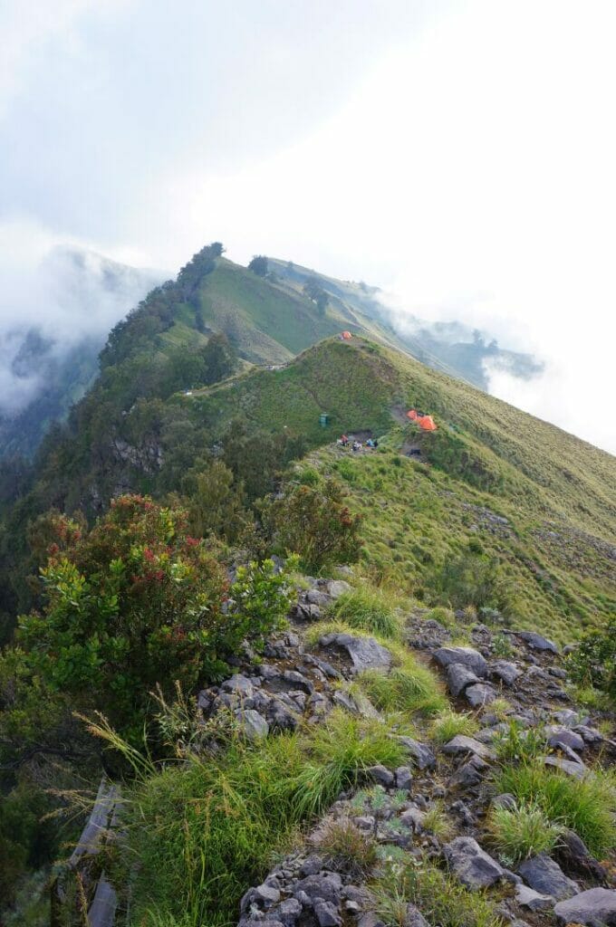 sur la crête du cratère dans le parc national du Rinjani