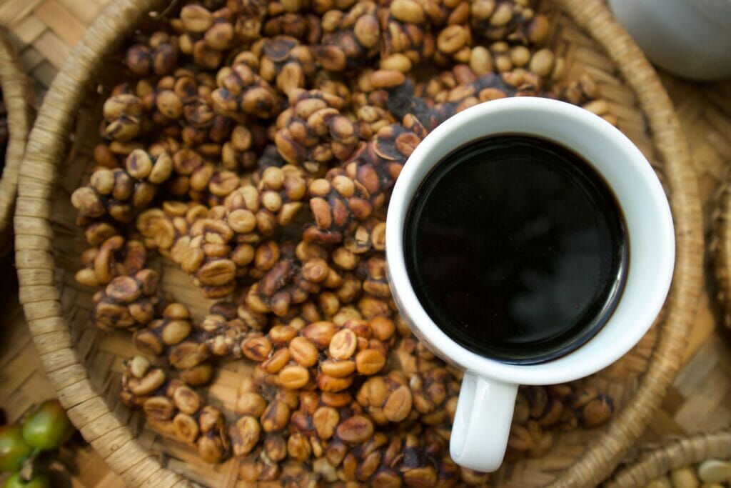 kopi luwak, le café le plus cher du monde à Bali