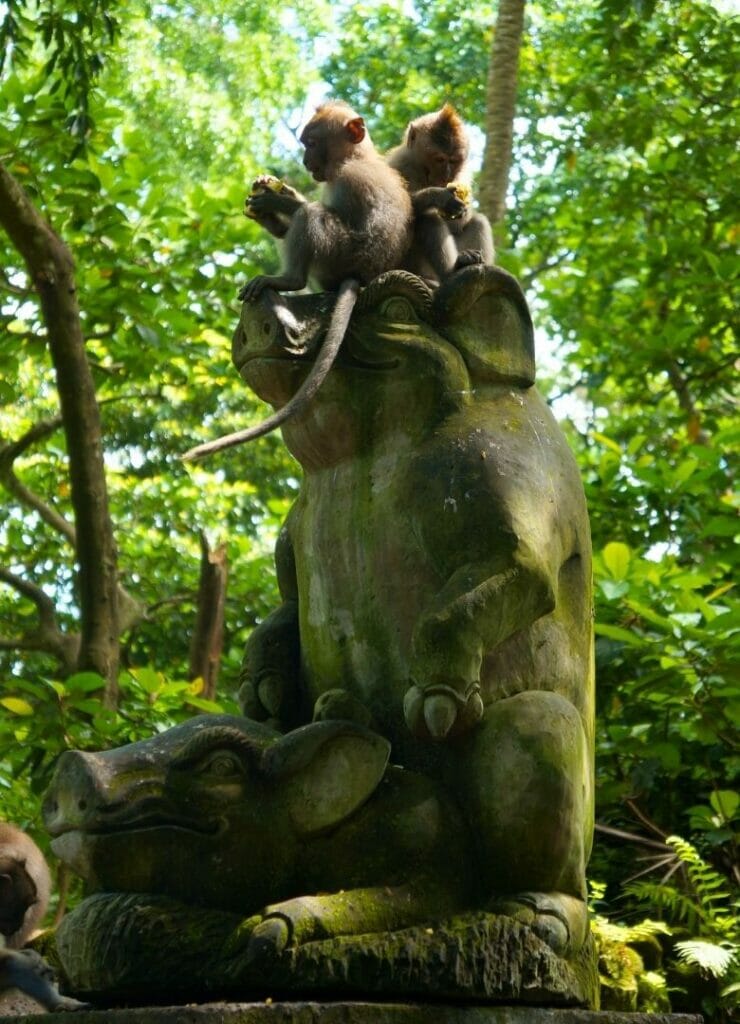 monkey forest ubud à Bali