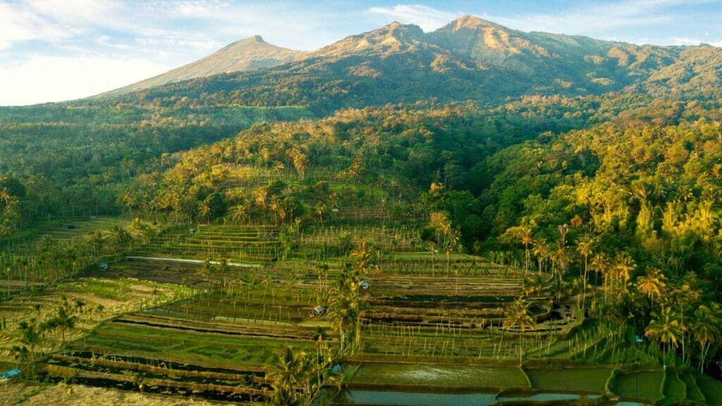 le village de tetebatu et ses rizières en plateau sur l'île de Lombok