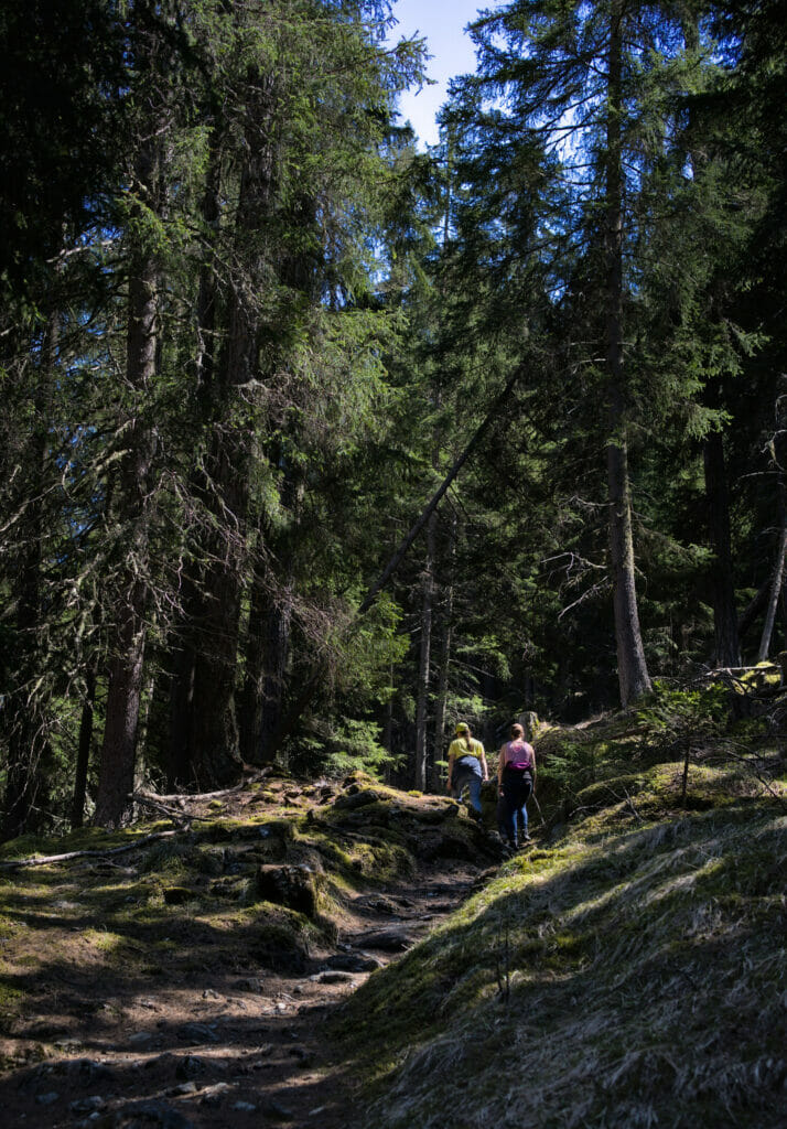 montée au lac d'Arbey dans la foret