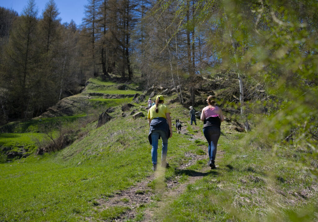 le sentier qui mont au lac d'Arbey