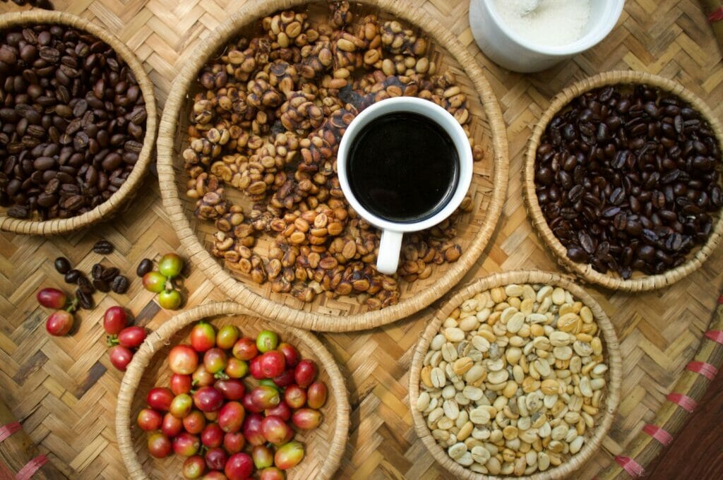 le café kopi luwak en indonésie