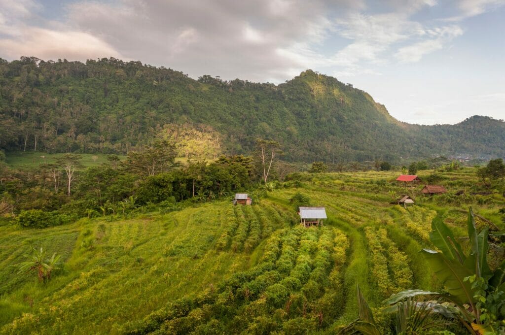 visiter les rizières en terrasses de Sidemen à Bali en Indonésie