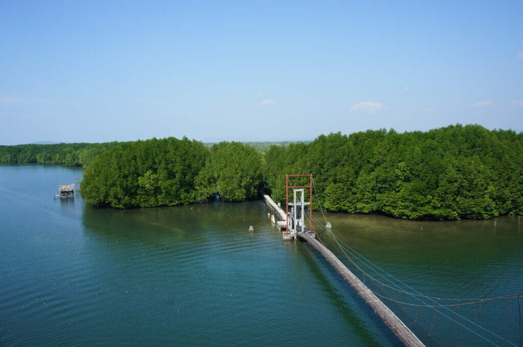pont à travers les mangroves du sanctuaire Peam Krasaop dans la province de Koh Kong