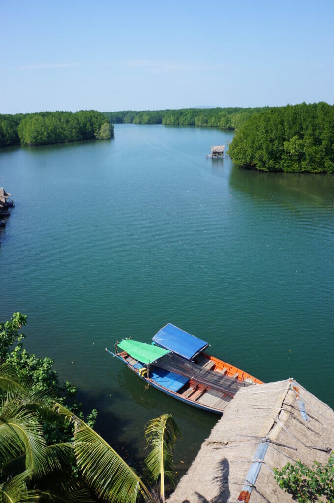 sur la rivière dans les mangroves du sud du cambodge