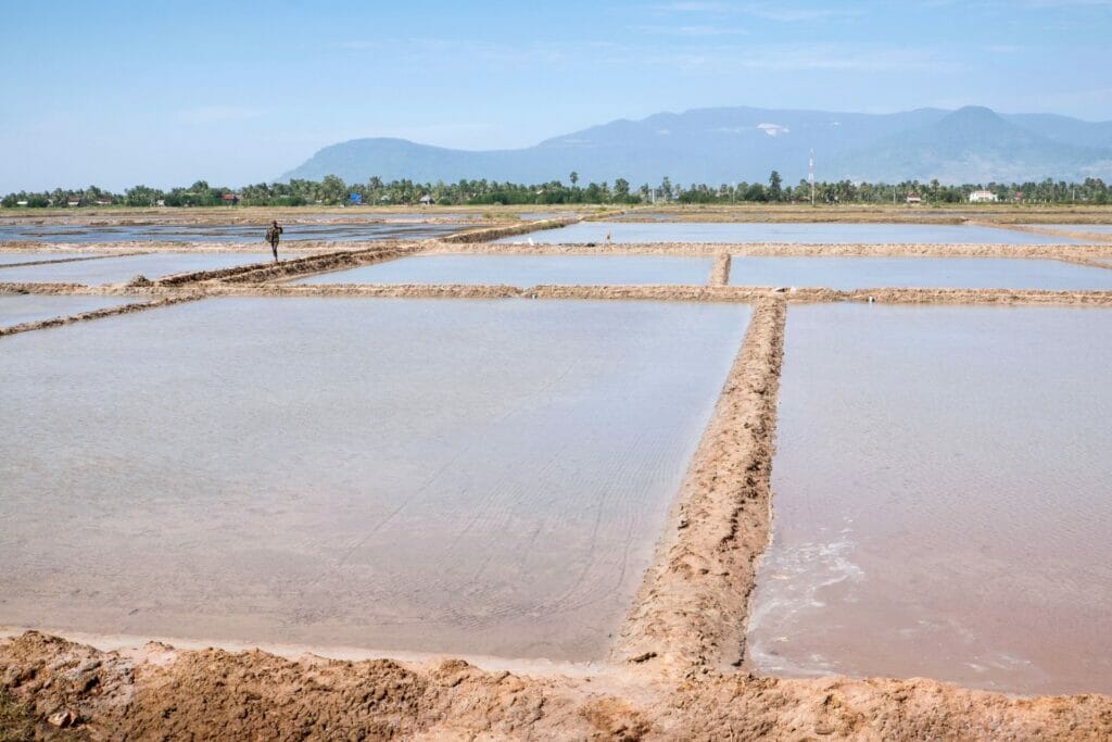 les marais salants à Kampot