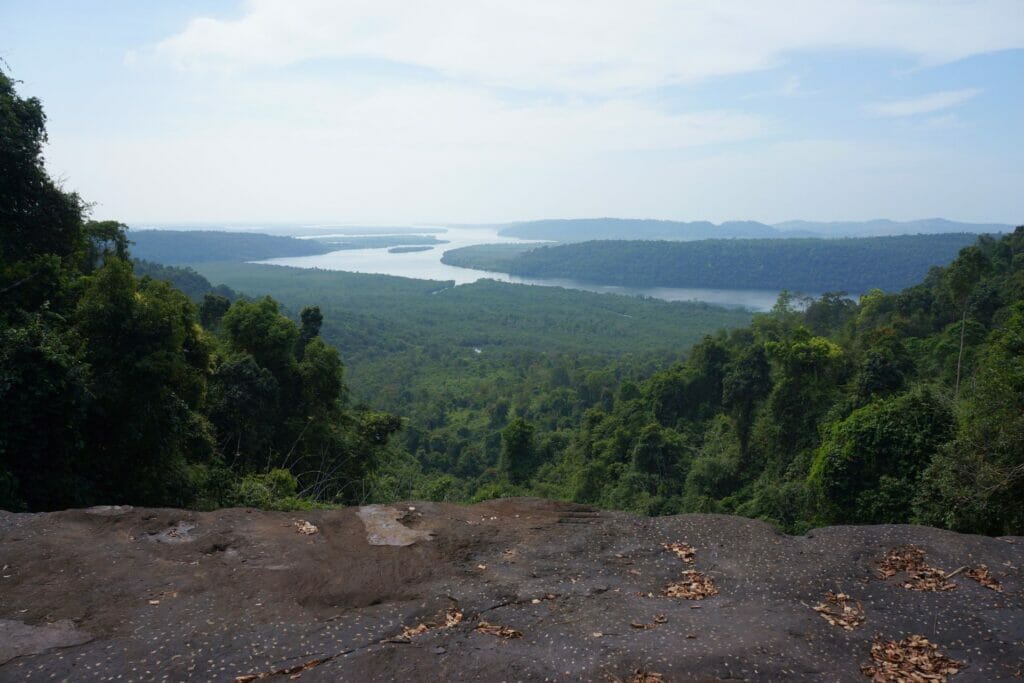 View of mangroves from Cardamomes National Park