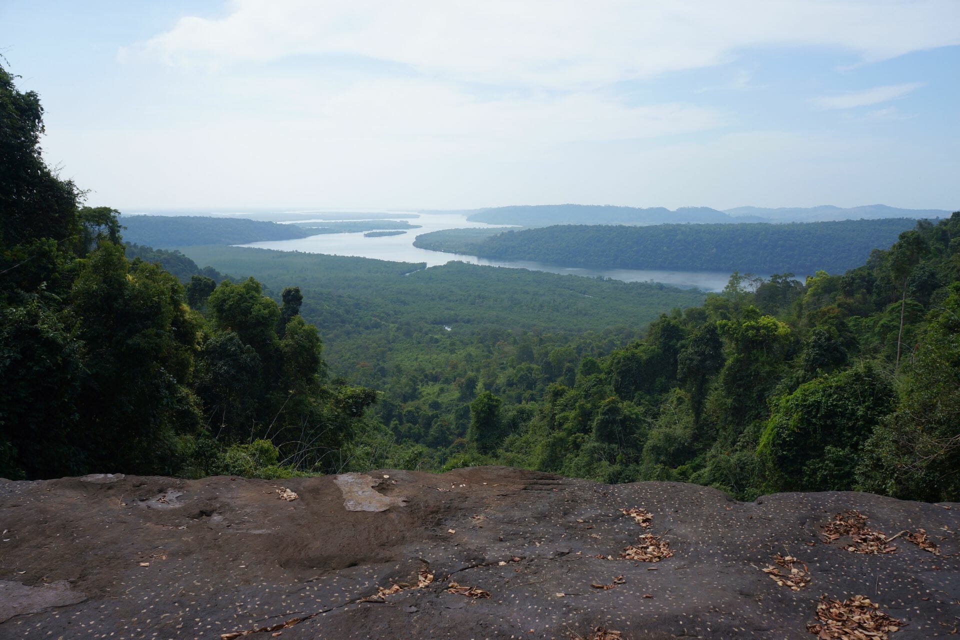 vue sur les mangroves depuis le parc national des Cardamomes