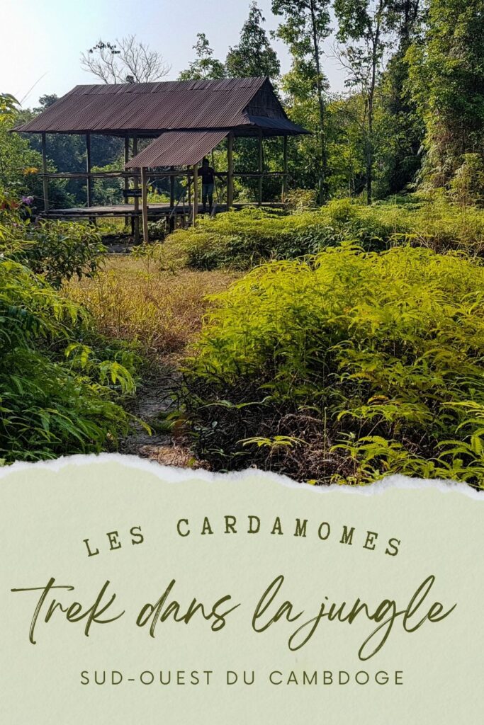 les monts cardamomes au cambodge