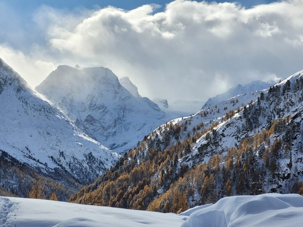 arolla en hiver