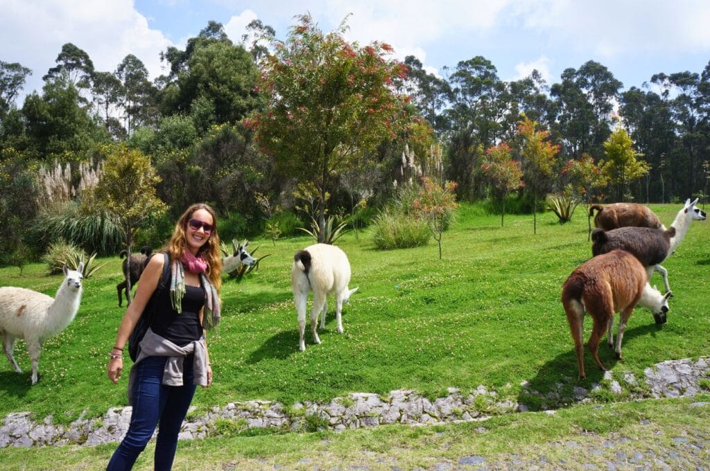 le parc métropolitain de Quito et ses lamas