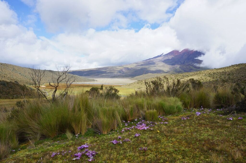 vue sur le Coto depuis la Laguna De Limpiopungo