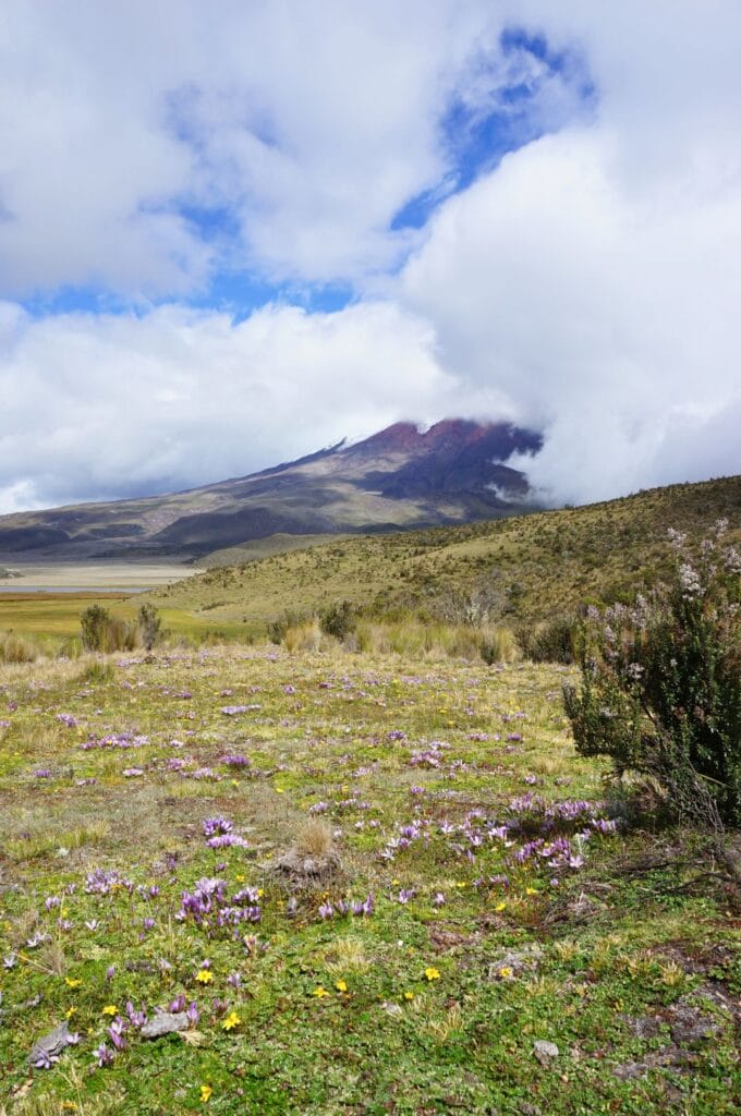 vue sur le Coto depuis la Laguna De Limpiopungo dans le parc national en Équateur