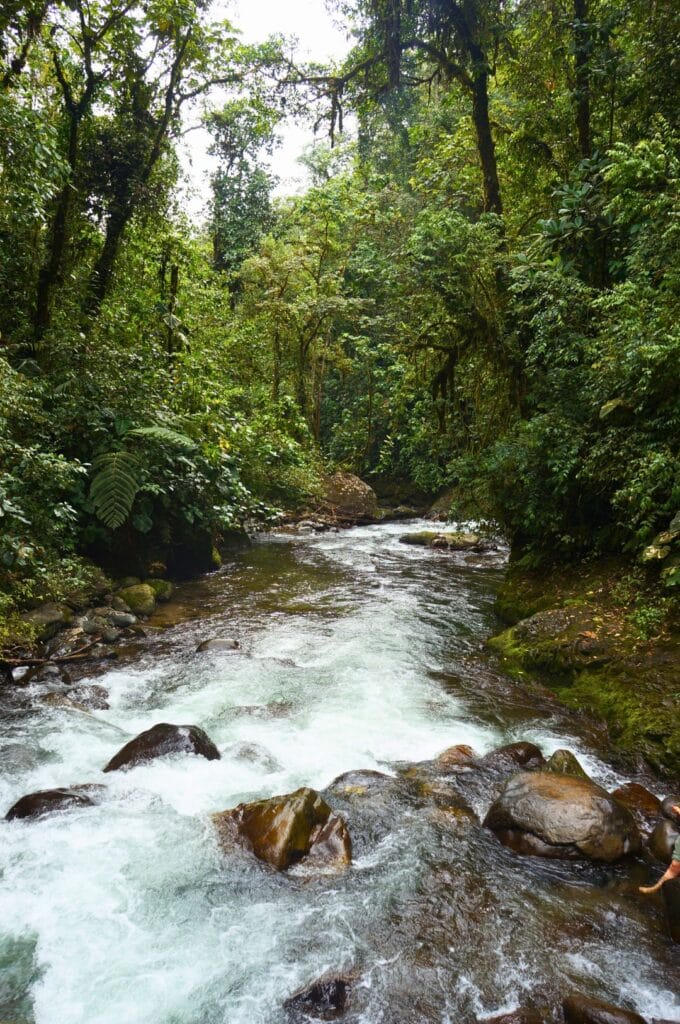 sur le sentier dans le sanctuaire des cascades à Mindo, Équateur