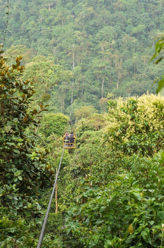 la tarabita au dessus de la forêt tropicale à Mindo