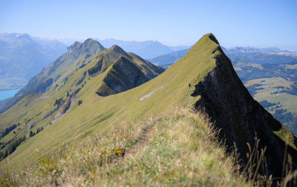 quelle vue sur l'arête du Hardergrat