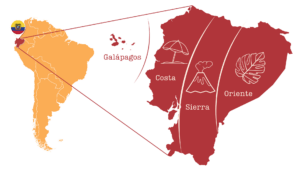 carte de l'Équateur et de ses différentes régions