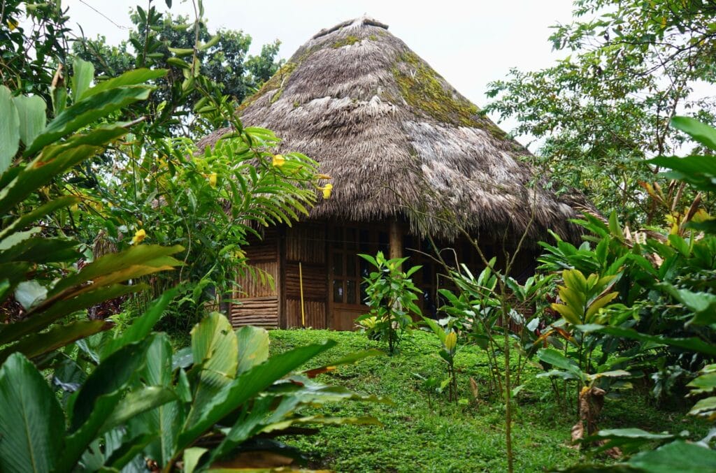 hasquila amazon lodge dans la jungle en Équateur