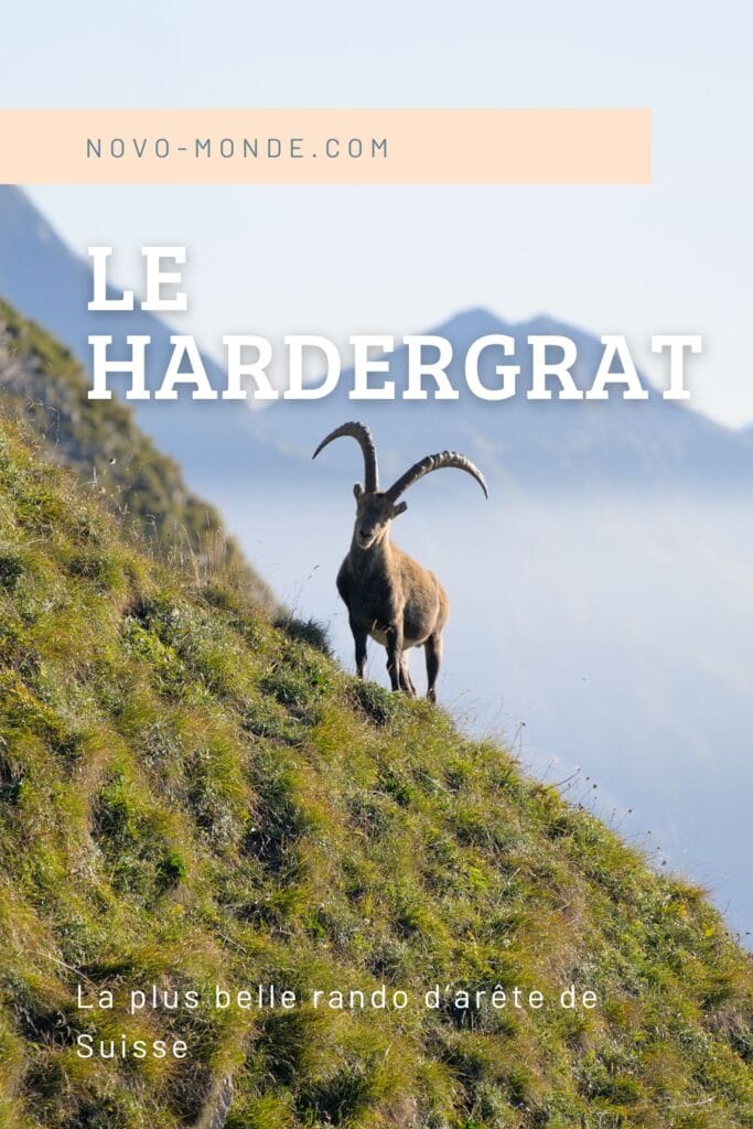 le Hardergrat en Suisse