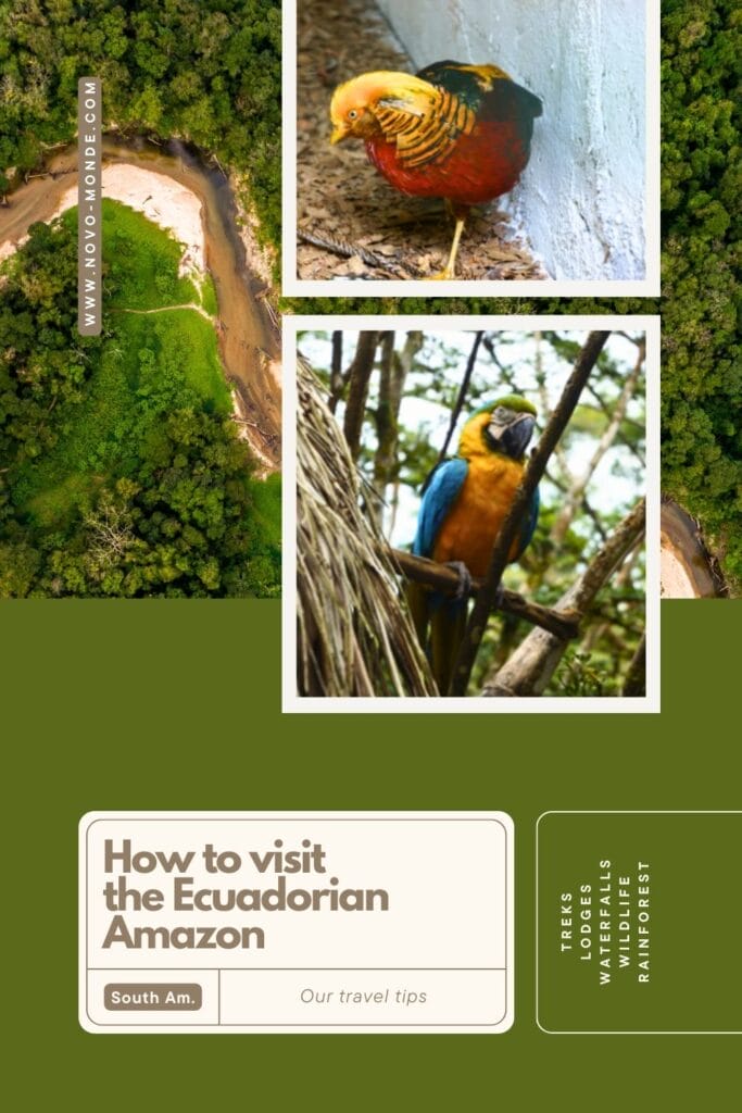 How to visit the Ecuadorian Amazon