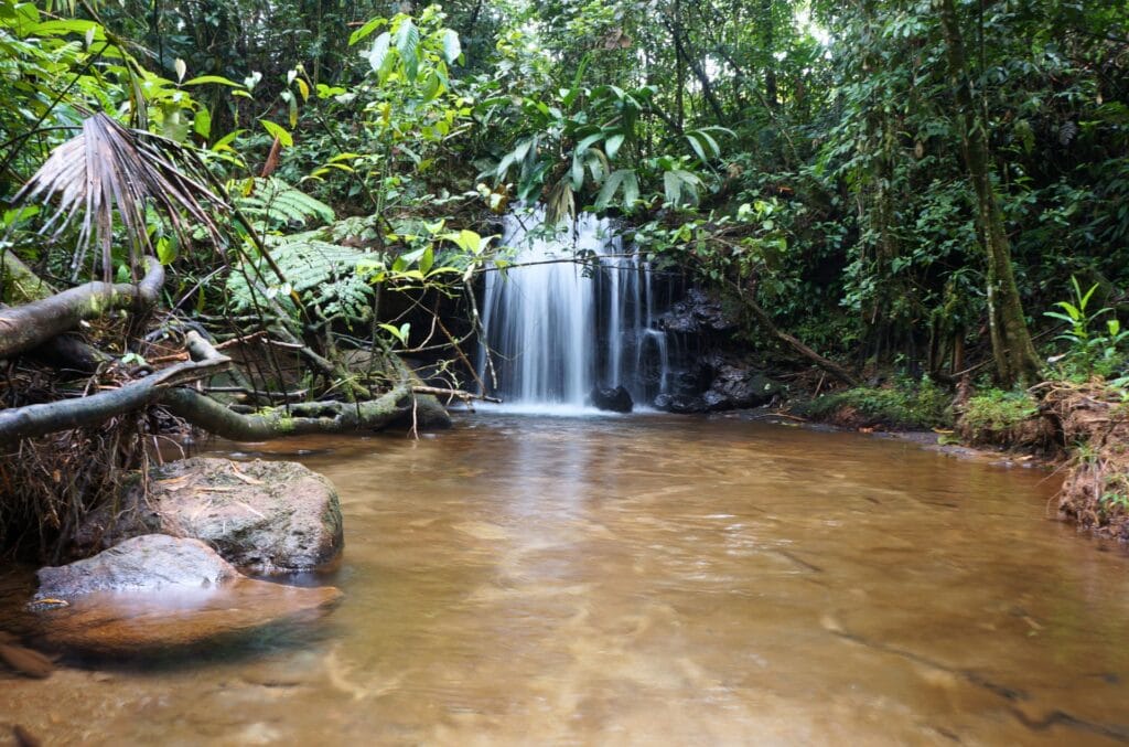 une cascade en Amazonie en Équateur