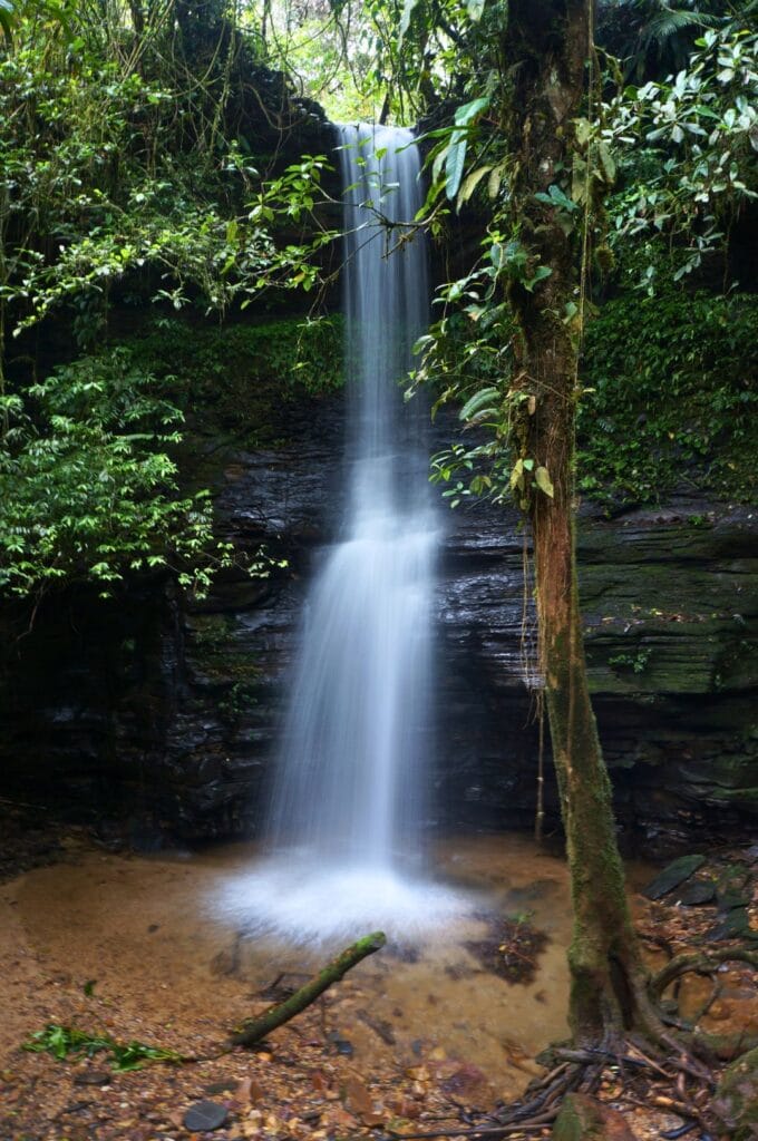 une cascade dans la forêt tropicale équatorienne