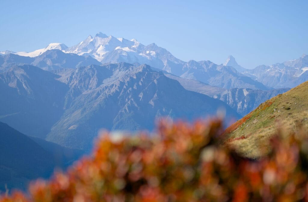 Vue sur les Mischabel et le Cervin depuis Fiescheralp