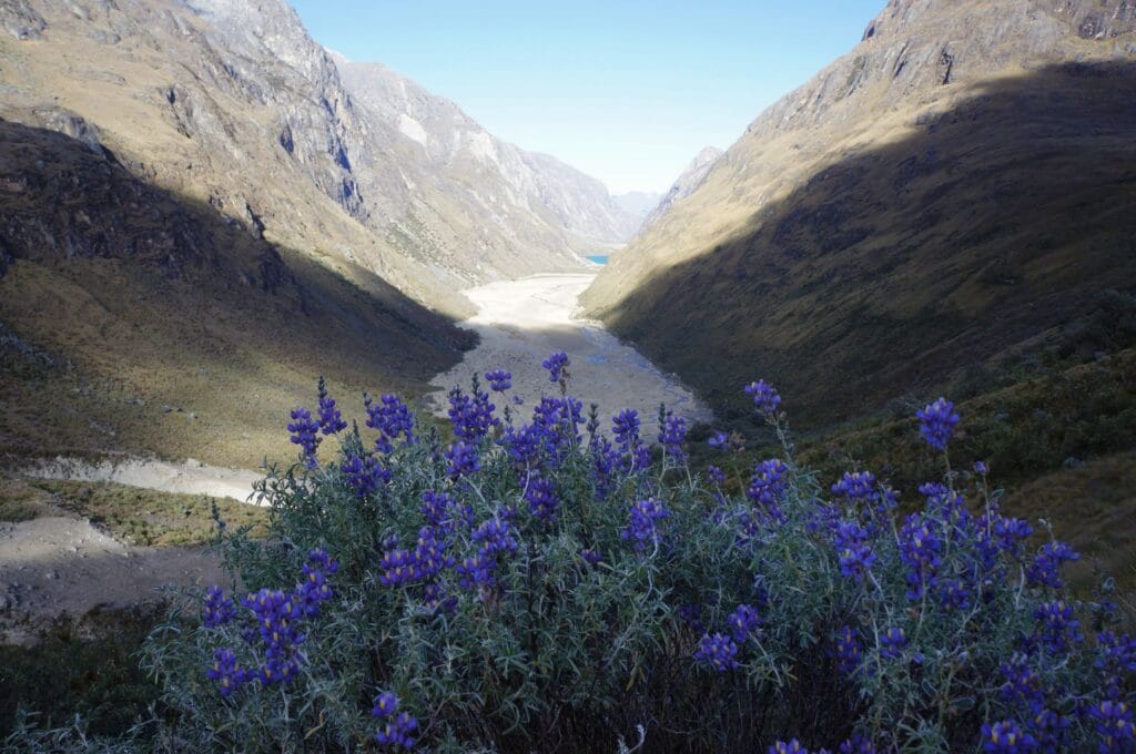 View of the valley