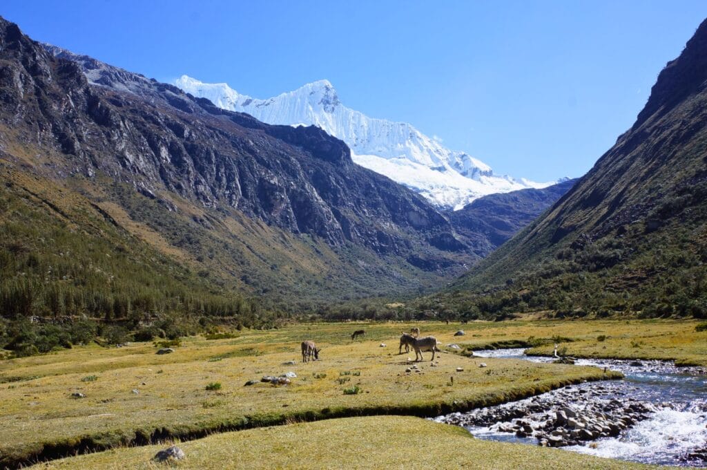 vue sur la cordillera blanca lors du trek de la laguna 69