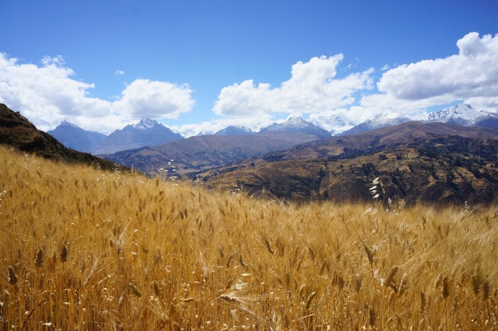 vue sur la cordillère blanche depuis le sentier de randonnée de la laguna wilcacocha