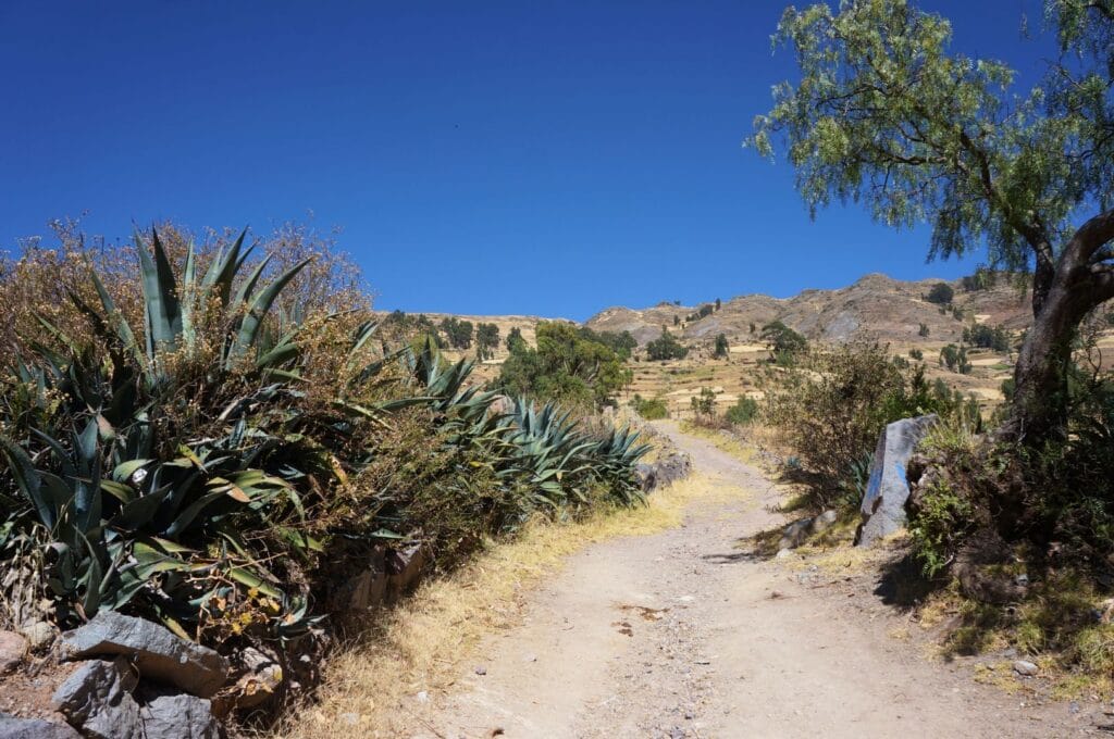 sentier de la laguna wilcacocha depuis Huaraz