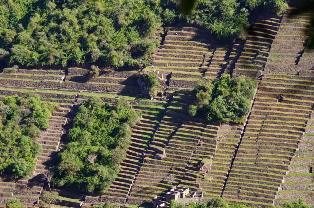 les terrasses de Choquequirao