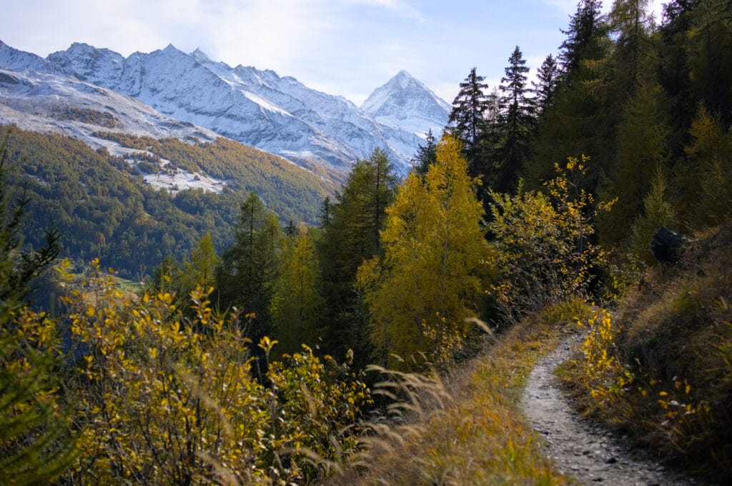 le sentier entre la Giette et le lac d'Arbey