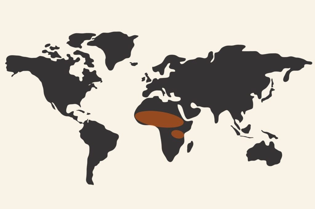 Map of meningococcal meningitis risk zones A, C, W135, Y