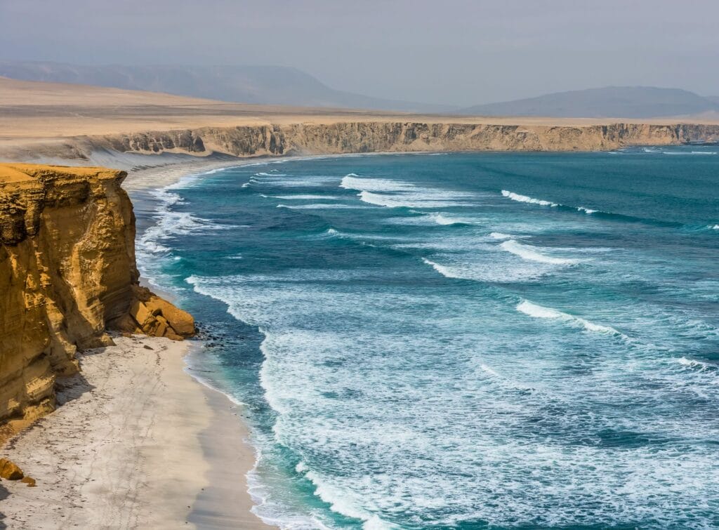 la réserve national de Paracas