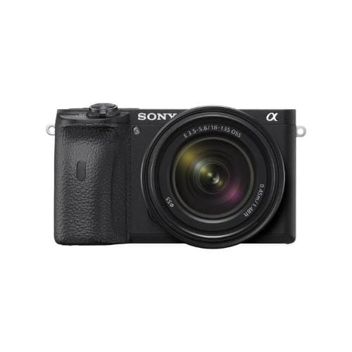 Sony A6600