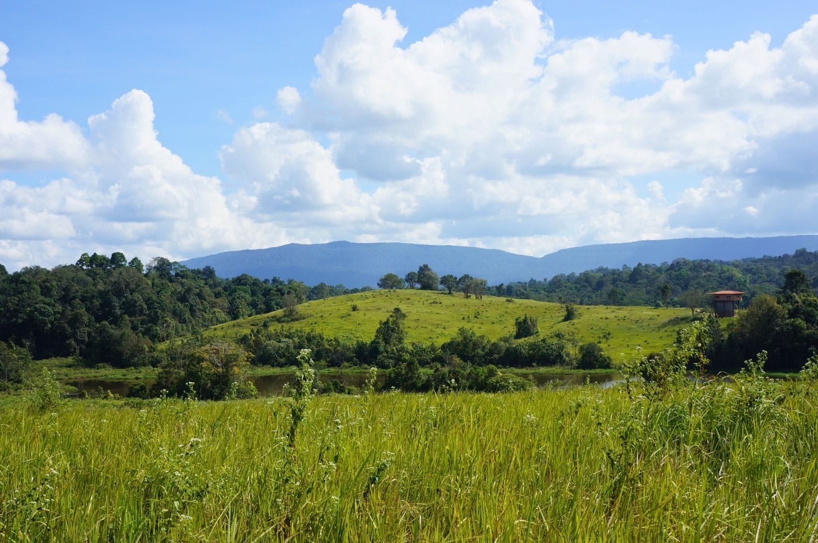 tour d'observation au loin dans un paysage valloné du parc Khao Yai