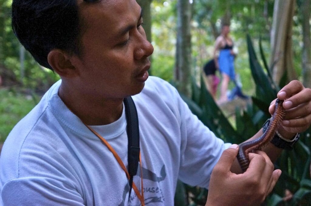 guide du tour dans le parc national de khao yai tenant un gros mille-pattes