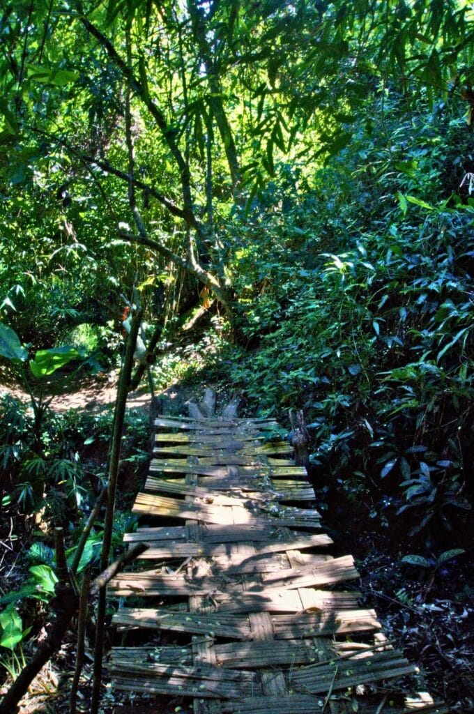 sentier Monk Trail pour aller jusqu'au temple Wat Phra That Doi Suthep depuis Chiang Mai