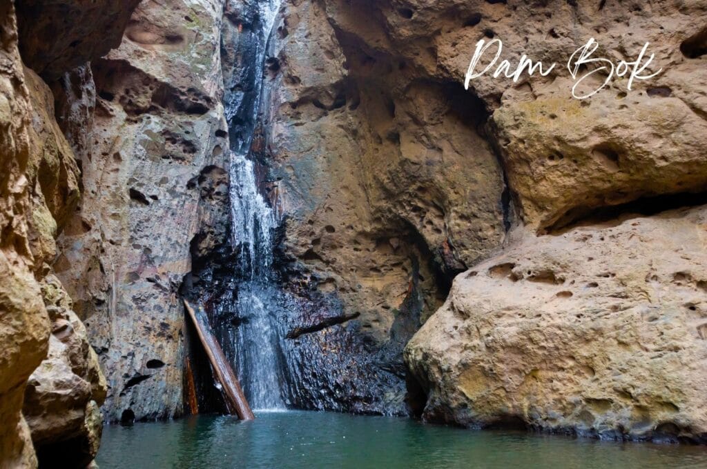 Cascade Pam Bok