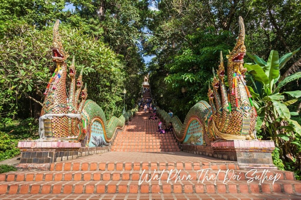 l'escalier encadré de 2 dragons qui mène à l'entrée du temple Wat Phra That