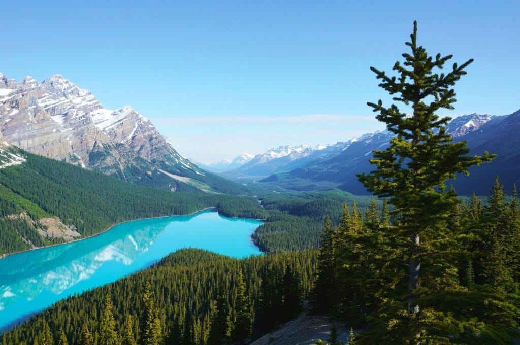 point de vue sur le lac Peyto au Canada