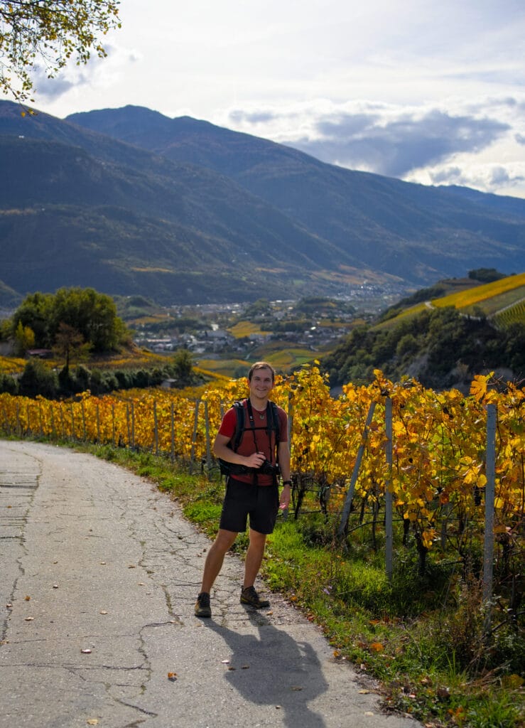 randonnée dans les vignes