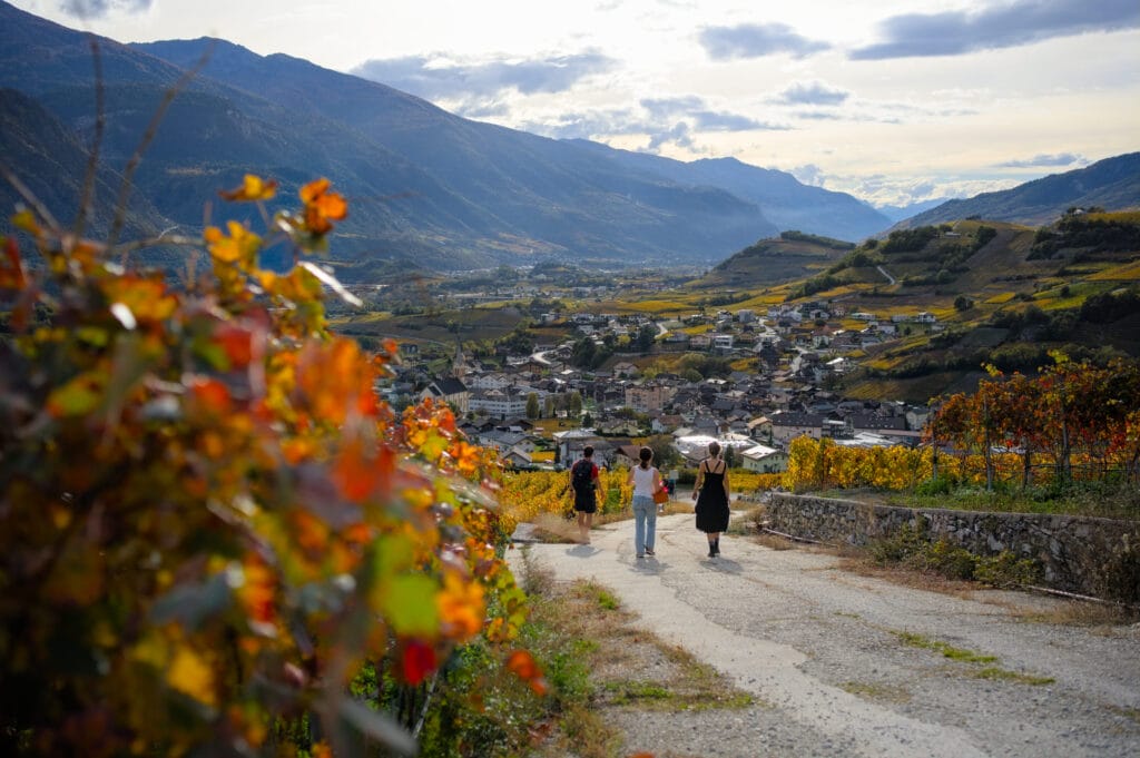 randonnée dans les vignes