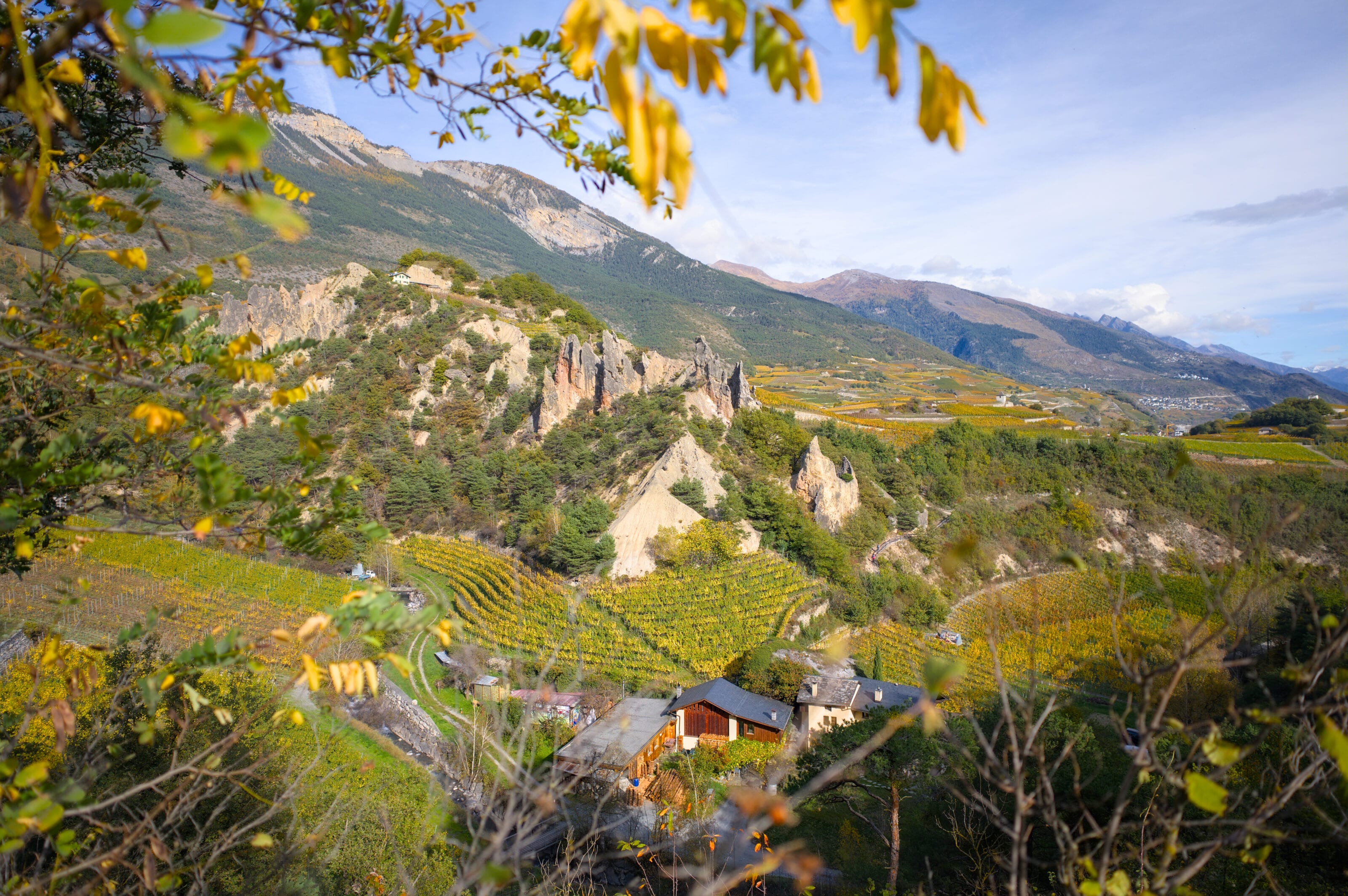 salgesch valais